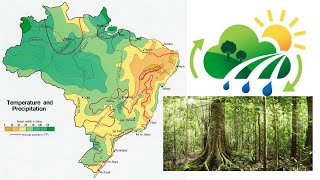 Landschap klimaat en vegetatie van Brazilië [upl. by Esinned525]