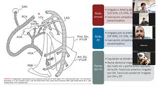 Cardiología  Bradiarritmias [upl. by Oberon949]