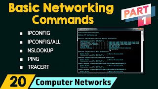 Basic Networking Commands Part 1 [upl. by Hauger811]