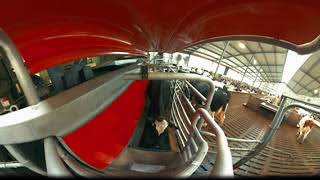 Lely Astronaut A5  The new milestone in milking VR  virtual reality experience [upl. by Kiraa347]