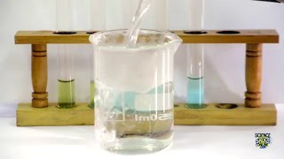 Food Tests  Iodine Biuret Benedicts Ethanol DCPIP [upl. by Illib593]