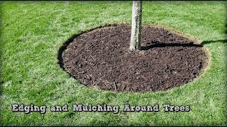 Edging and Mulching Around Trees  How To Redefine An Edge [upl. by Hortense]