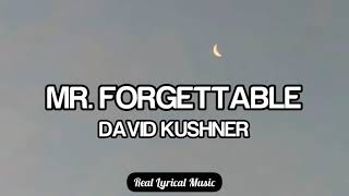 David kushner  Mr Forgettable Lyrics [upl. by Olegna]