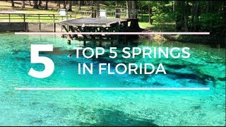 TOP 5 SPRINGS in FLORIDA with a CAMPGROUND [upl. by Mayap279]