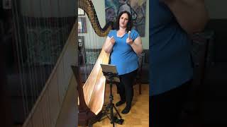 Extended Harp Techniques [upl. by Aziul631]