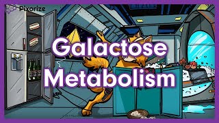 Galactose Metabolism Mnemonic  USMLE Preview [upl. by Bruner]