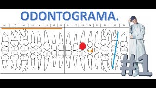 Como llenar un Odontograma  Parte 1 [upl. by Daugherty]