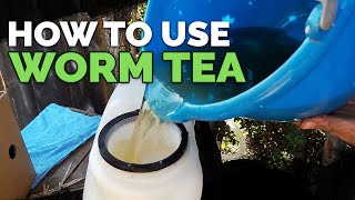 Worm Tea Foliar Feeding Why You Should Do It ASAP [upl. by Jeb623]