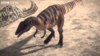 Carcharodontosaurus  Planet Dinosaur  Episode 1  BBC [upl. by Ainad114]