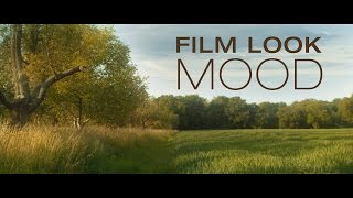 Tutorial Film Look amp Mood [upl. by Iives978]