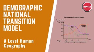 A Level Human Geography  The Demographic Transition Model [upl. by Ahsiak]