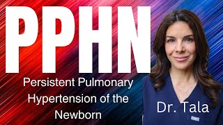 Doctor Explains Persistent Pulmonary Hypertension of the Neonate [upl. by Chow]