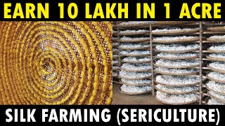 Silk Farming Sericulture  How Silk is made from Silkworm [upl. by Olodort]