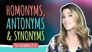 Grades 23 Homonyms Antonyms amp Synonyms [upl. by Hnacogn]