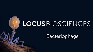 Lecture 5 Bacteriophage [upl. by Enyr]