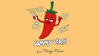 Sammy Virji  Spice Up My Life feat Paige Eliza Official Audio [upl. by Maire]