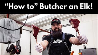 How to Butcher an Elk  Complete Breakdown of all of the Elk Meat  By The Bearded Butchers [upl. by Elumas]