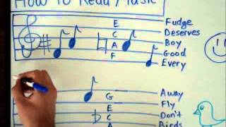 How to Read Music  Basics for Beginners  Music Theory Lesson [upl. by Araccot]