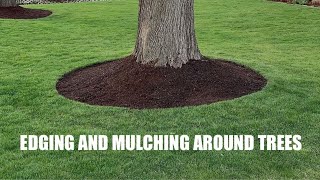 EDGING and MULCHING around TREES  How to get a CLEAN LOOK [upl. by Tnelc]