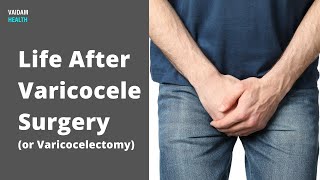 Life after Varicocele Surgery [upl. by Ahcsatan]