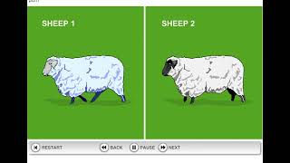 How Dolly the Sheep was cloned [upl. by Easton]