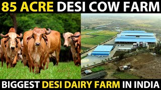 85 ACRE DESI COW FARM Biggest Desi High tech Dairy Farm in India  Mr Milk [upl. by Ariadne]