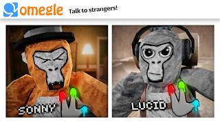 OMEGLE Trolling in Gorilla Tag [upl. by Ilenna]