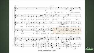 Hallelujah Bass  Messiah by G F Handel  Learn The Bass Choral Part [upl. by Dazhehs]