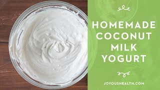 How to Make Homemade Coconut Milk Yogurt [upl. by Gibe]