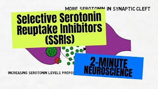 2Minute Neuroscience Selective Serotonin Reuptake Inhibitors SSRIs [upl. by Aleyam]