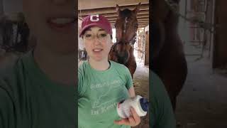 Farriers Fix Hoof Oil [upl. by Peursem518]