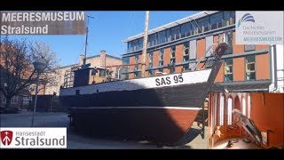 Deutsches Meeresmuseum Stralsund 2019 [upl. by Etat]