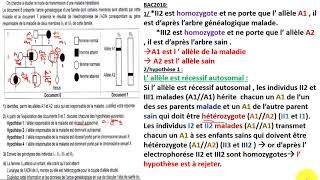 Revision Genetique humaine  correction bac 2k18  Bac scExp  Bac Math [upl. by Annovad]