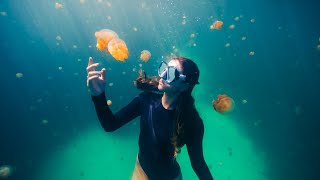 The Most Beautiful Free Diving in the World [upl. by Ordway267]