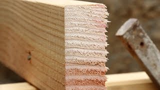 Things To Know About Lumber [upl. by Nanete]