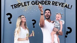 TRIPLET GENDER REVEAL [upl. by Cochran]