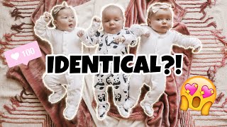 Are the TRIPLETS Identical or Fraternal DNA Results Confirmed [upl. by Aletha]