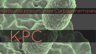 KPC Klebsiella pneumoniae Carbapenemases [upl. by Mendoza]