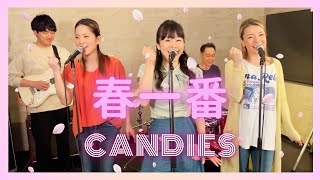 【歌詞付】春一番  キャンディーズ【Cover】Haru Ichiban by Candies [upl. by Corbet681]