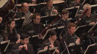 Johannes Brahms  YouTube Symphony Orchestra [upl. by Annahsit]