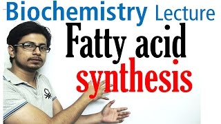 Fatty acid synthesis [upl. by Coppinger487]