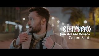 Calum Scott  You Are The Reason 因為你 中文字幕MV [upl. by Ordep429]