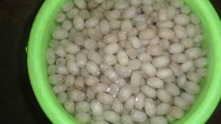 Sericulture industry in India [upl. by Aikenahs]