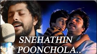 Snehathin Poonjolatheerathil from Pappayude Swantham Appoosvijoysmusicmoments9522 song [upl. by Kcirednek]