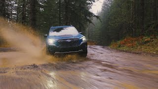 The 2022 Subaru Forester Wilderness [upl. by Bywoods]