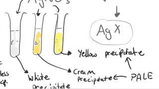 Testing For Halides  AS Chemistry [upl. by Annasiul]