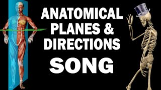 ANATOMICAL PLANES AND DIRECTIONS SONG [upl. by Haberman841]