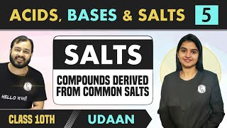 Acids Bases amp Salts 05  pH  Salts  Compounds Derived from Common Salts  Class 10  NCERT [upl. by Simsar199]