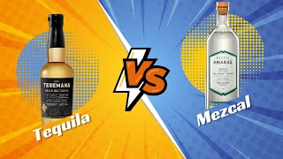 DIFERENCIAS entre TEQUILA y MEZCAL [upl. by Kolnos941]