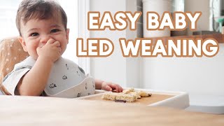 What My Toddler Eats in a Day Picky 2 Year Old  Quick Meal Ideas [upl. by Emmalee]